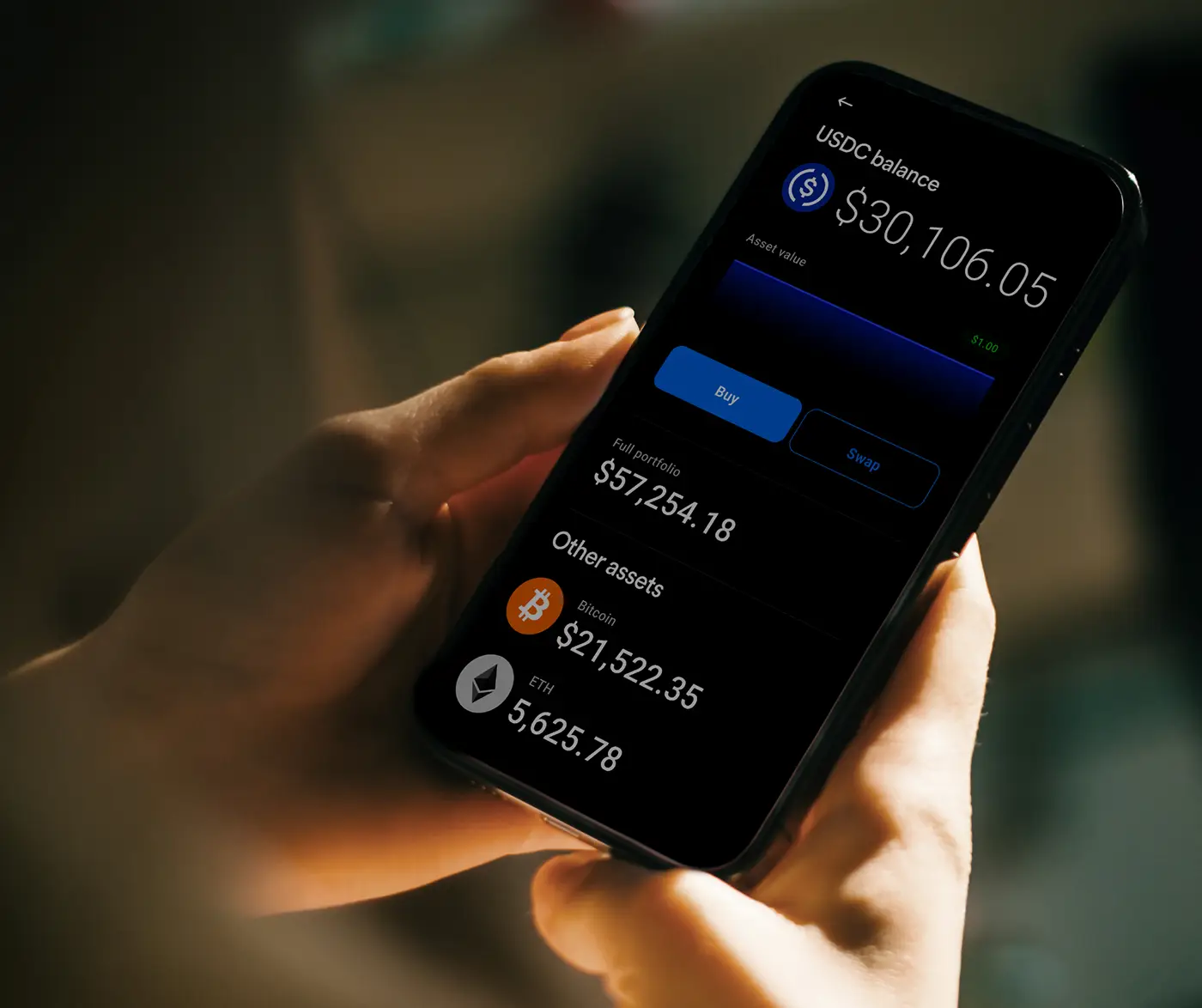 An app showing USDC balance
